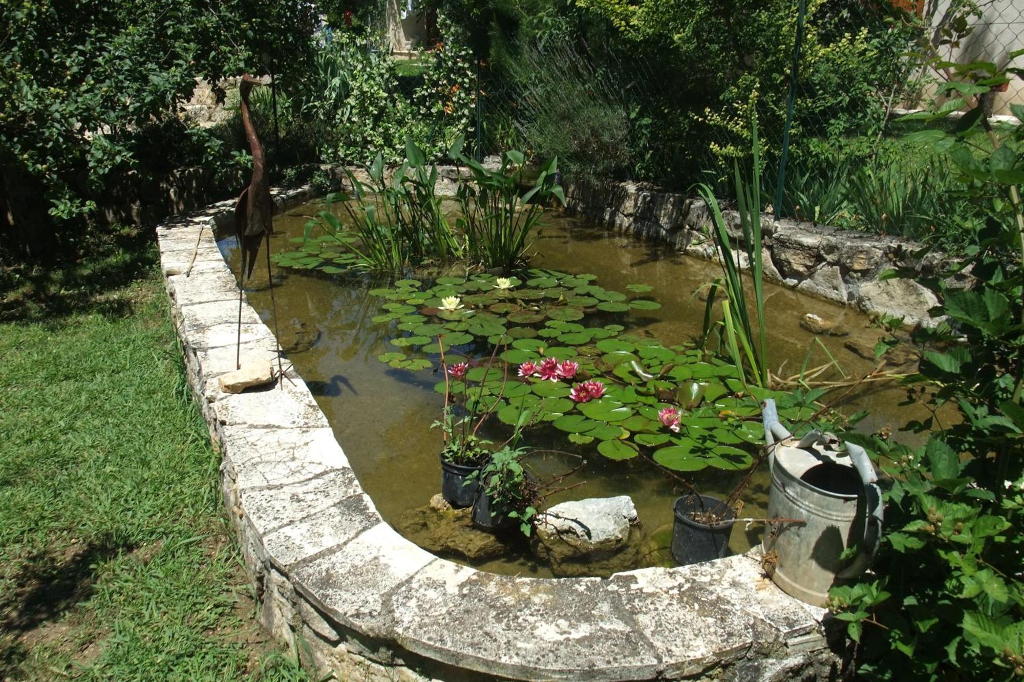 Gite La Paillote Montauroux Εξωτερικό φωτογραφία