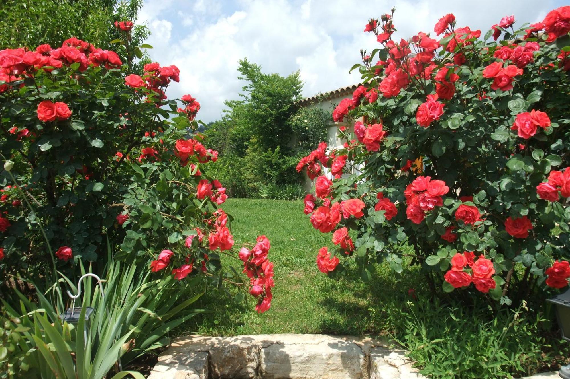 Gite La Paillote Montauroux Εξωτερικό φωτογραφία