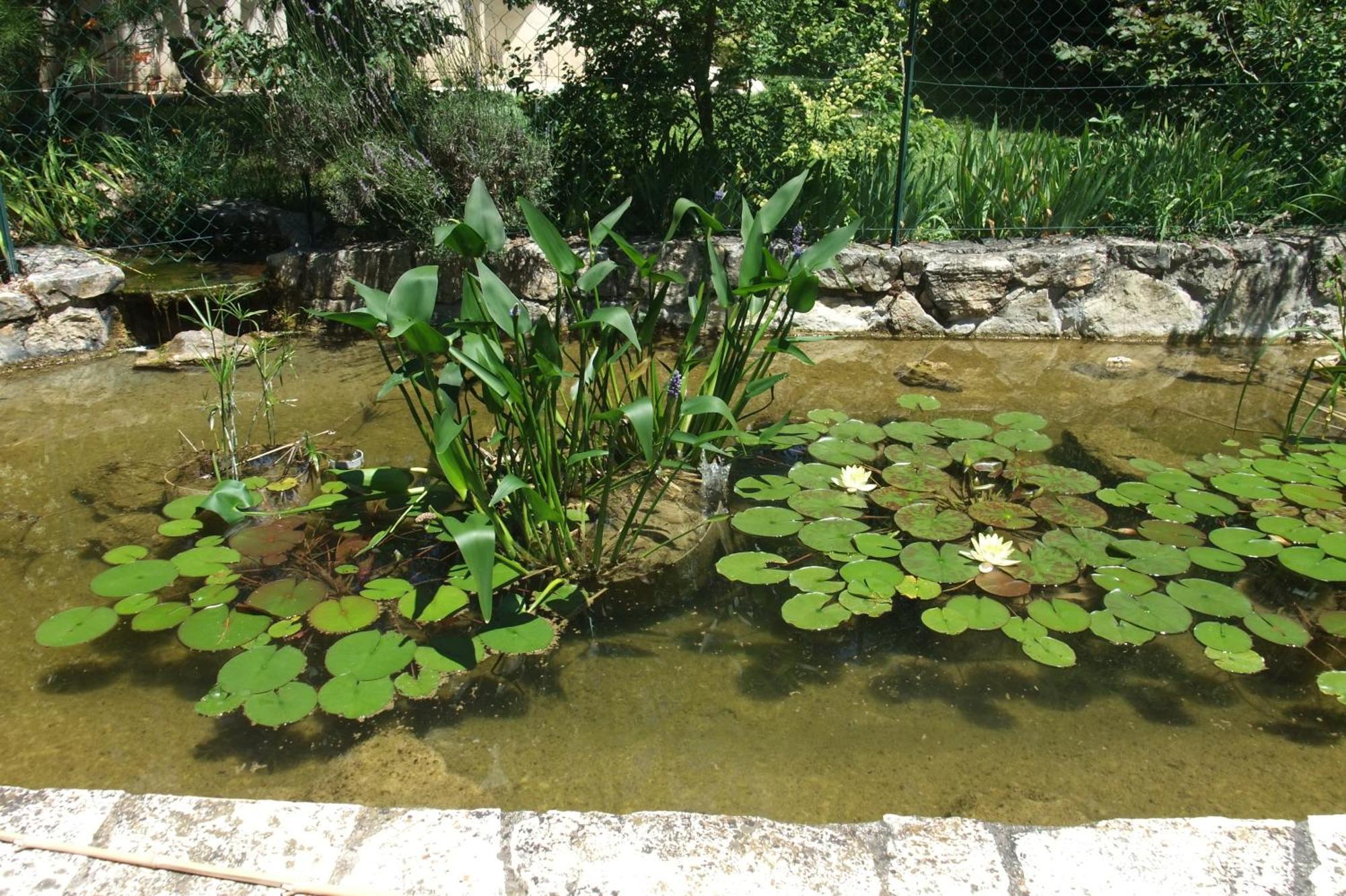 Gite La Paillote Montauroux Εξωτερικό φωτογραφία